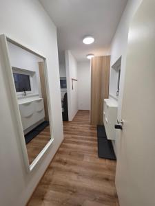 ein Flur mit einem Badezimmer mit Spiegel und Waschbecken in der Unterkunft Vila Brod in Ljubljana