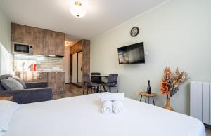 TV/trung tâm giải trí tại New Gudauri, Loft 1 Apartment