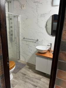 a bathroom with a toilet and a sink and a shower at Cabaña sol y luna lugar tranquilo acceso total in Maldonado