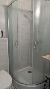 a shower with a glass door in a bathroom at Appartement Hyper Centre, 2ème étage in Fougères