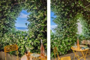 Fotografie z fotogalerie ubytování Casa Vincè v destinaci Furiani + 33 fotografií