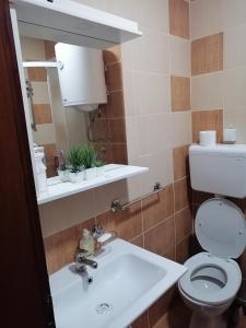 une salle de bain avec toilettes, lavabo et miroir dans l'établissement Apartman Lala, à Vrnjačka Banja