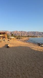 Příroda nedaleko rezortu