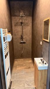 a bathroom with a shower and a sink at Statek Honezovice ze saunou in Honezovice