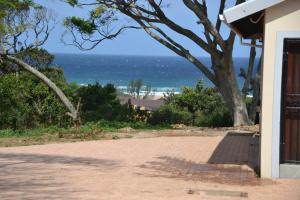 Příroda nedaleko bed and breakfast + 3 fotografie