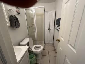 ein kleines Badezimmer mit Toilette und Dusche in der Unterkunft Soothing, Comfy P-Room by Wilson Memorial in Johnson City