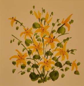 Foto dalla galleria di La Nave Monteggio a Monteggio