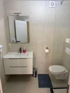 a bathroom with a sink and a toilet and a mirror at Golden Sky Residence in Satu Mare