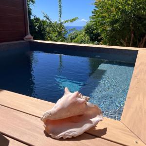 a shell sitting on a table next to a swimming pool at Domaine Racines e Zel - Gîte PomKouli in Vieux-Fort +23 photos