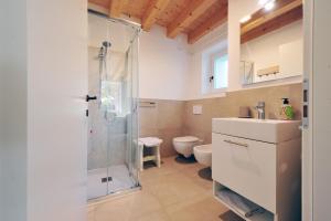 a bathroom with a shower and a sink and a toilet at Agriturismo Corte Bonetti in Pescantina +55 photos
