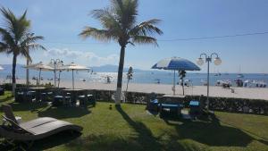 a beach with a palm tree and chairs and umbrellas at Hotel Sete Ilhas in Florianópolis