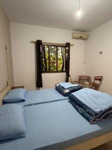 two twin beds in a room with a window at Hostel Osho in Tirana +64 photos