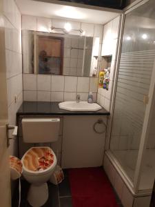 a bathroom with a toilet and a sink and a shower at Graeff sweet apartment in Cologne +15 photos