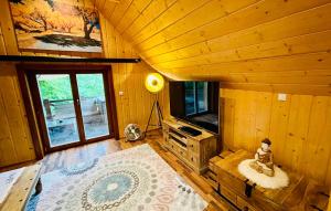 TV a/nebo společenská místnost v ubytování Jánošíkův pramen - celá horská wellness chata