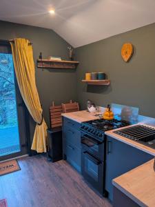 Η κουζίνα ή μικρή κουζίνα στο Tranquil Off-Grid Cabin