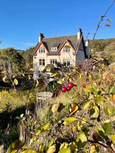 Příroda nedaleko prázdninového domu