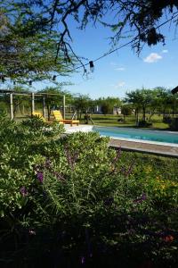 Swimmingpoolen hos eller tæt på AGUAPÉ - Alojamiento rural con PILETA - hasta 4 huéspedes