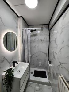 a white bathroom with a sink and a mirror at Appartement proche de la citadelle in Saint-André-lez-Lille