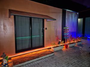 Κήπος έξω από το Casa Container Pôr do Sol