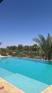 una gran piscina azul con palmeras en el fondo en Villa Dar Waw Marrakech, en Tameslouht