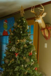 Fotografie z fotogalerie ubytování Lakefront Retreat With Mountain Views, Private Boat Launch And Dock v destinaci Sevierville