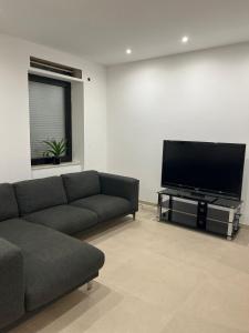 TV a/nebo společenská místnost v ubytování Chambre Élégance et confort a Esch