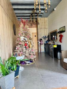 a christmas tree in the middle of a room at Treeloft Home in Girón