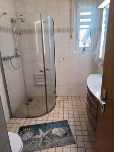 un baño con ducha y lavabo en Marisa's Sauerlandträumchen, en Brilon