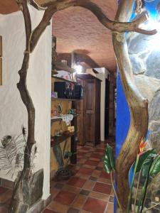 MéridaにあるApartamento Caribayの家の中にある木のある廊下