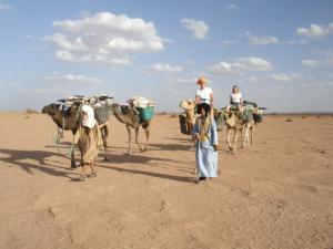 Khách lưu trú tại Sahara Peace