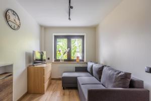 TV a/nebo společenská místnost v ubytování Apartamenty RoweloveBB