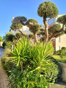 Zahrada ubytování Le Lagon Bleu Bornéo