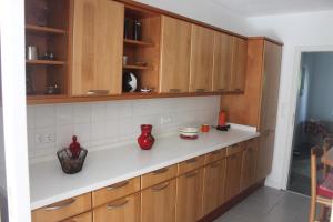 StollhammにあるFerienhaus In Stollhamm Mit Großem Gartenのキッチン(木製キャビネット、白いカウンタートップ付)