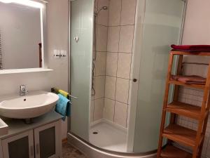 a bathroom with a shower and a sink at Fewo Alpenrose in Nesselwängle +33 photos
