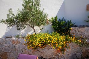 Zahrada ubytování Wunderschöne Steinvilla Mit Tollem Ausblick