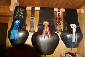 Fotografie z fotogalerie ubytování Bühlengasse 6 v destinaci Grindelwald + 12 fotografií