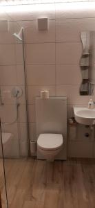 a bathroom with a toilet and a sink at Rothorn Center A 1Og Schöpfer in Sörenberg