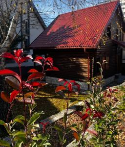 Κήπος έξω από το Vila Rosa Kolasin