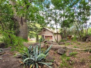 a house in the middle of a forest at Rincon de la Selva in La Calera