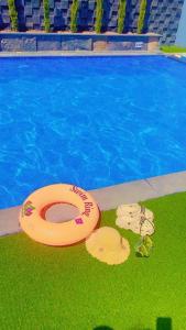 deux frisbees sur l'herbe à côté d'une piscine dans l'établissement Villa Ohaio, à Amman