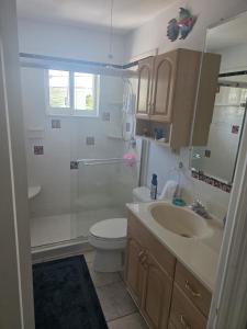 a bathroom with a toilet and a sink at Blue Paradise - 7 DAY MINIMUM STAY in Marathon