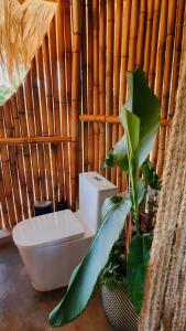 ein Badezimmer mit einem WC und einer Pflanze in der Unterkunft OYA New Earth Luxury Romantic Glamping with Private Outdoor Bath in Jamao al Norte