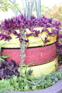 Aed väljaspool majutusasutust EKO Holiday Homes, Lake Chala +3 fotot