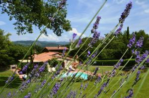 ein Feld lila Blumen mit einem Haus im Hintergrund in der Unterkunft Sestuccia in Gaiole in Chianti