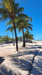 Příroda nedaleko apartmánu + 14 fotografií