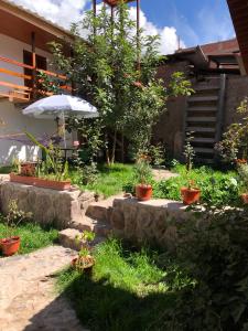 un jardin avec des plantes en pot et un parasol dans l'établissement Asunta's House, à Calca 1 autre photo