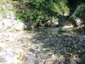 einem Wasserlauf mit Felsen und Bäumen im Hintergrund in der Unterkunft Ferienhaus für 8 Personen ca 189 m in Dolenja Trebuša, Küstenland Slowenien in Dolenja Trebuša