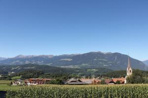 Příroda nedaleko apartmánu