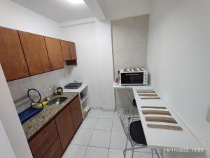 Una pequeña cocina con fregadero y microondas. en Acogedor departamento en excelente ubicación ENCAR, en Encarnación 7 fotos más