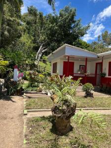 Κήπος έξω από το Hospedaje Finca Talulos